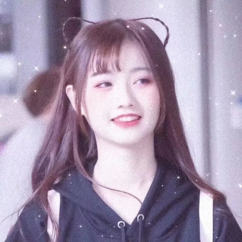 汪星人的奇幻漂流